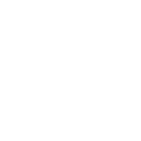 THE BIG ISLAND