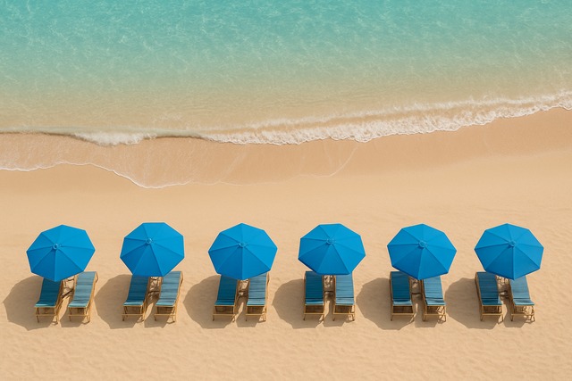 場面別フレーズと所作のセット