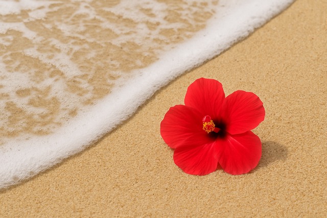 ストロークとパーカッシブ要素で波を描く