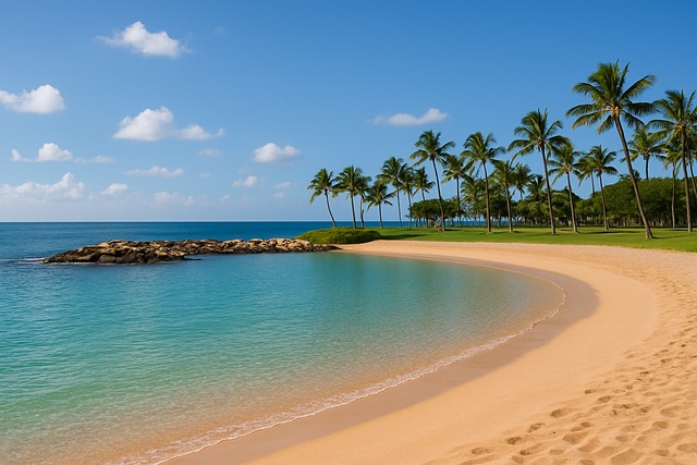 lagoon-palm-shoreline