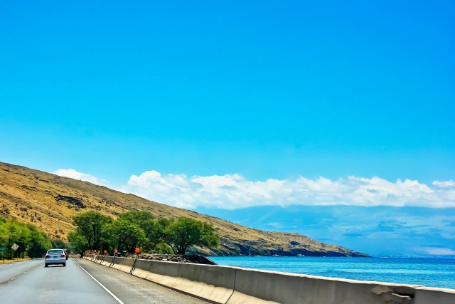 現地移動と観賞当日の動線を最適化する