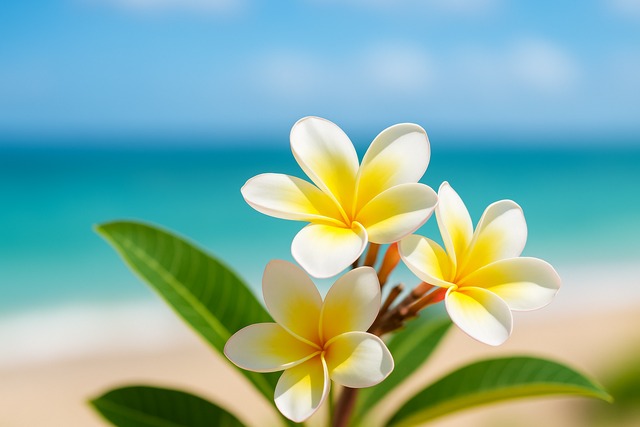 コード三つで弾ける定番進行と置き換えアイデア