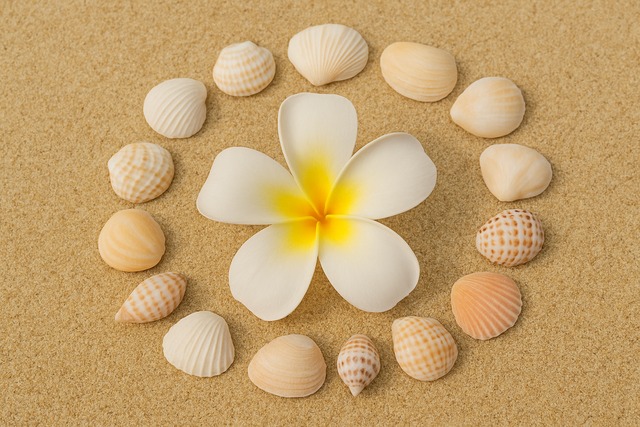 右手の設計:ストロークとアルペジオで解像度を上げる