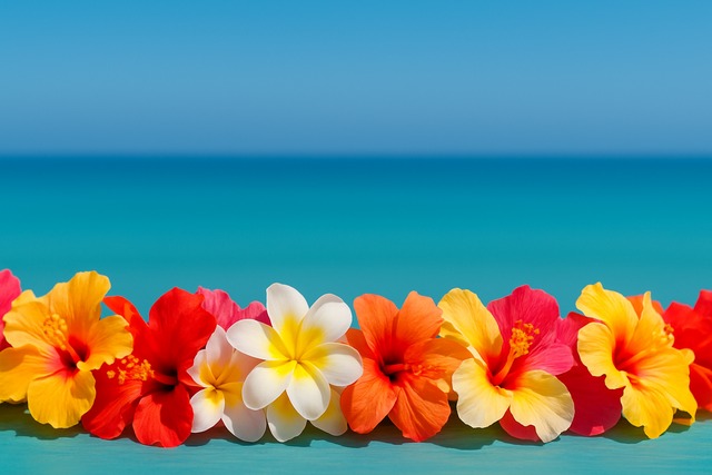 音楽と踊りに宿る意味を旅に活かす