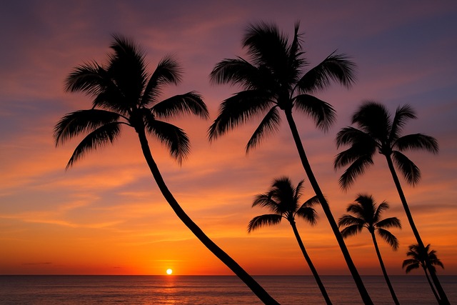 音色と耳の基準を磨く