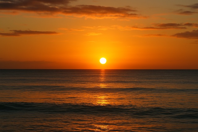 左手運指とコード移行の設計