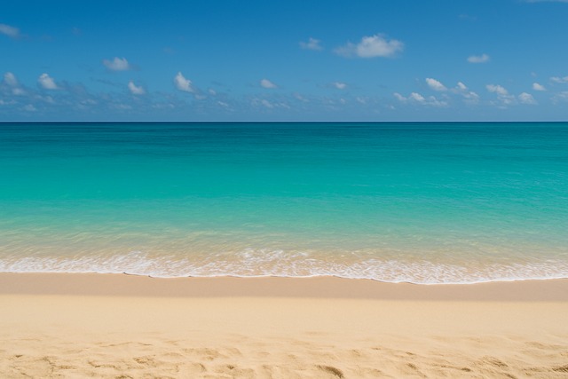 買える場所別の選び方と価格感