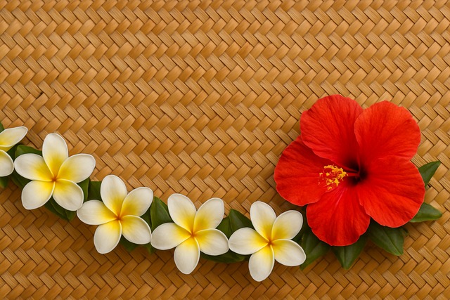 進行の共通形と代理コードの安全運用